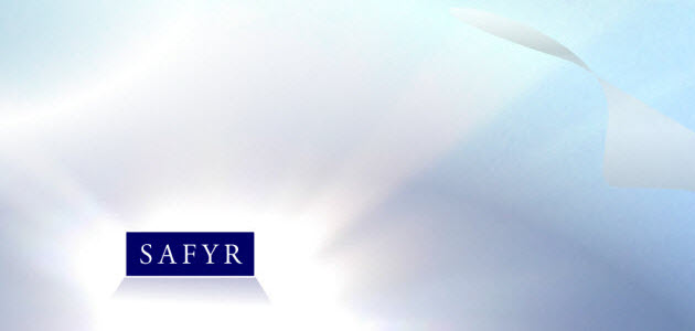 Safyr - The World's Leading ERP Metadata Analysis Tool Safyr